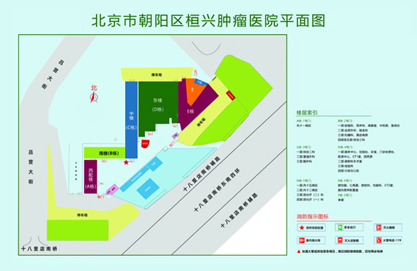 中国骚逼操逼视频北京市朝阳区桓兴肿瘤医院平面图